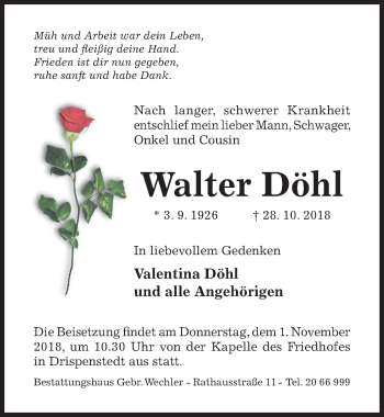 Traueranzeige von Walter Döhl von Hildesheimer Allgemeine Zeitung