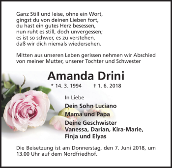 Traueranzeige von Amanda Drini von Hildesheimer Allgemeine Zeitung