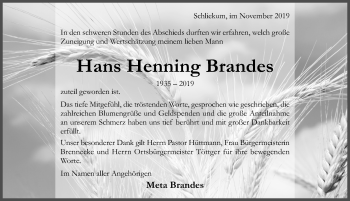 Traueranzeige von Hans Henning Brandes von Hildesheimer Allgemeine Zeitung