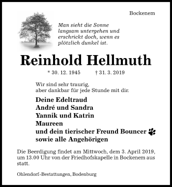Traueranzeige von Reinhold Hellmuth von Hildesheimer Allgemeine Zeitung