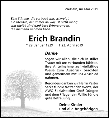 Traueranzeige von Erich Brandin von Hildesheimer Allgemeine Zeitung