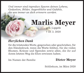 Traueranzeige von Marlis Meyer von Hildesheimer Allgemeine Zeitung