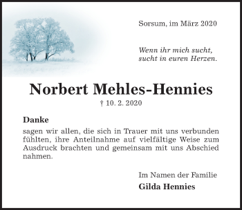 Traueranzeige von Norbert Mehles-Hennies von Hildesheimer Allgemeine Zeitung