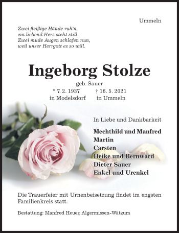 Traueranzeige von Ingeborg Stolze von Hildesheimer Allgemeine Zeitung