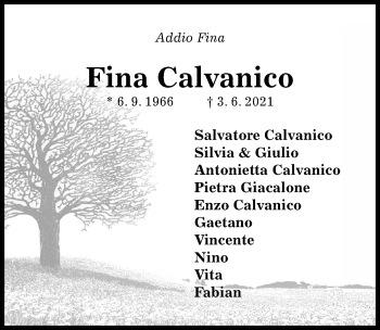 Traueranzeige von Fina Calvanico von Hildesheimer Allgemeine Zeitung