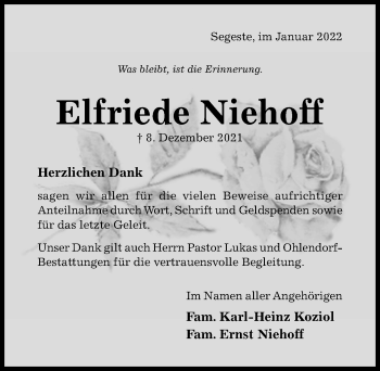 Traueranzeige von Elfriede Niehoff von Hildesheimer Allgemeine Zeitung