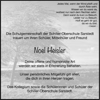 Traueranzeige von Noel Heisler von Hildesheimer Allgemeine Zeitung