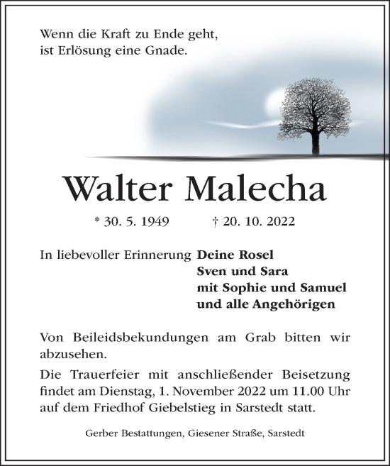 Traueranzeige von Walter Malecha von Hildesheimer Allgemeine Zeitung