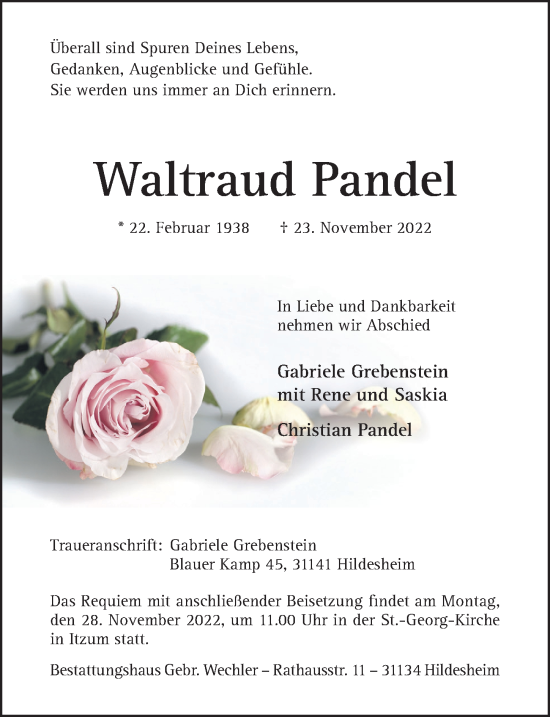 Traueranzeige von Waltraud Pandel von Hildesheimer Allgemeine Zeitung