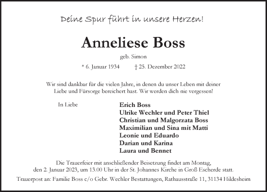 Traueranzeige von Anneliese Boss von Hildesheimer Allgemeine Zeitung