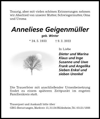 Traueranzeige von Anneliese Geigenmüller von Hildesheimer Allgemeine Zeitung