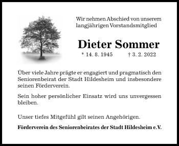 Traueranzeige von Dieter Sommer von Hildesheimer Allgemeine Zeitung