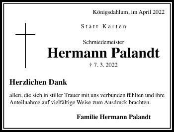 Traueranzeige von Hermann Palandt von Hildesheimer Allgemeine Zeitung