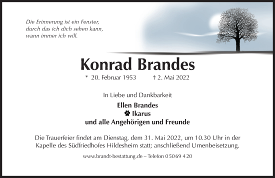 Traueranzeige von Konrad Brandes von Hildesheimer Allgemeine Zeitung