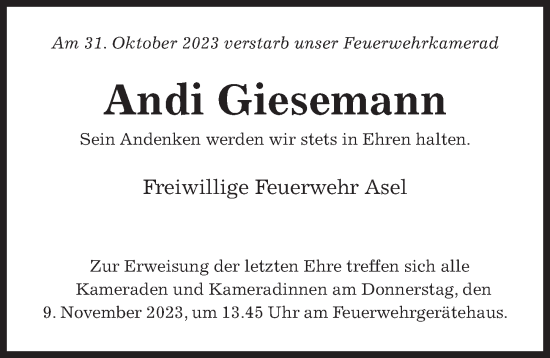 Traueranzeige von Andi Giesemann von Hildesheimer Allgemeine Zeitung