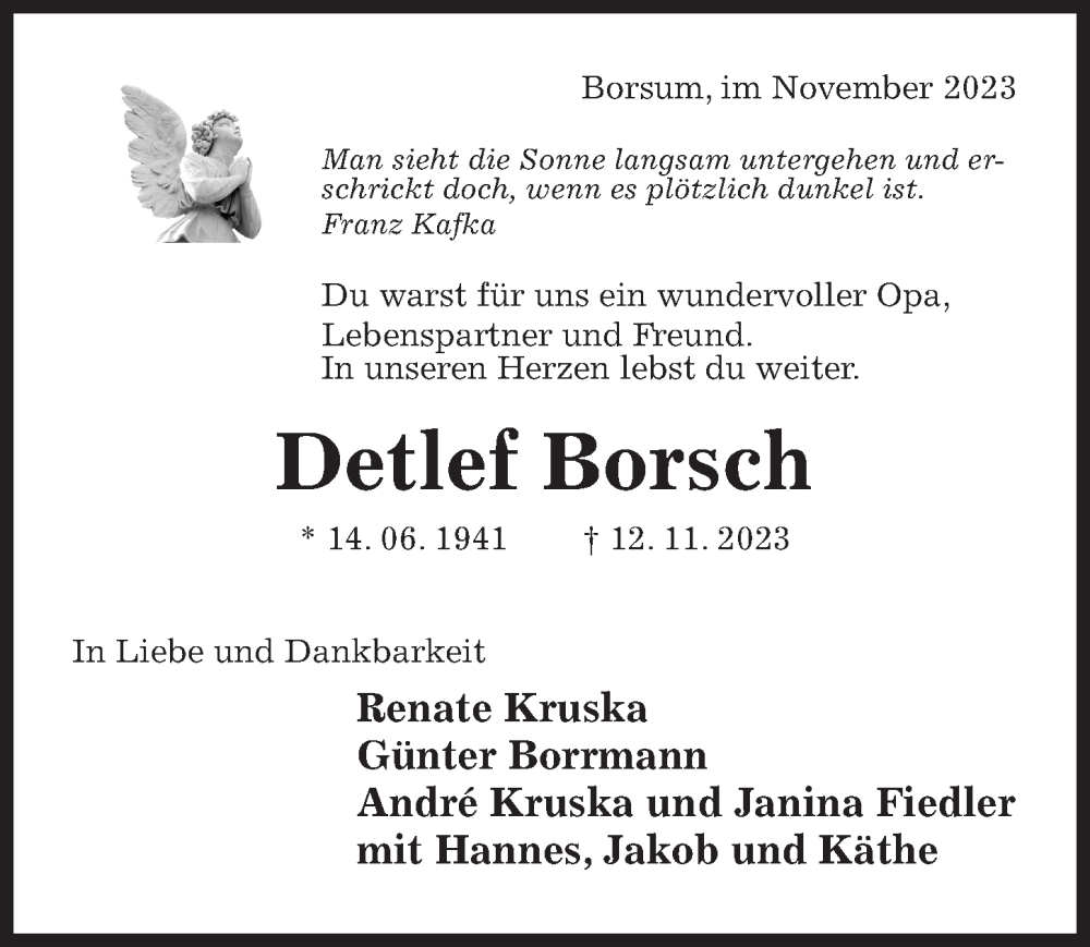  Traueranzeige für Detlef Borsch vom 15.11.2023 aus Hildesheimer Allgemeine Zeitung