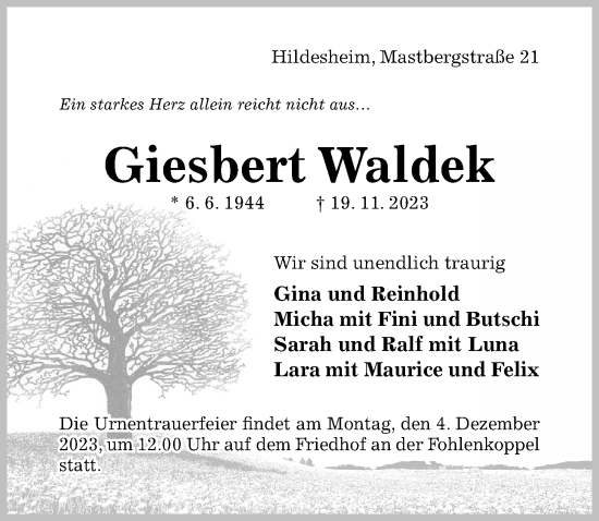 Traueranzeige von Giesbert Waldek von Hildesheimer Allgemeine Zeitung