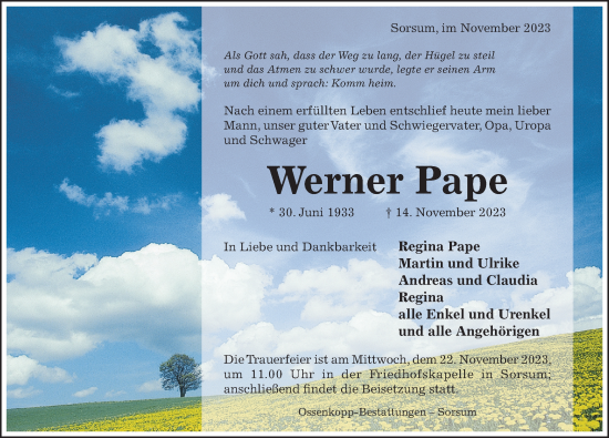 Traueranzeige von Werner Pape von Hildesheimer Allgemeine Zeitung