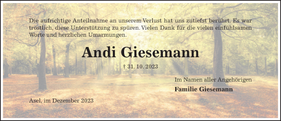 Traueranzeige von Andi Giesemann von Hildesheimer Allgemeine Zeitung