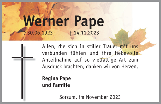 Traueranzeige von Werner Pape von Hildesheimer Allgemeine Zeitung