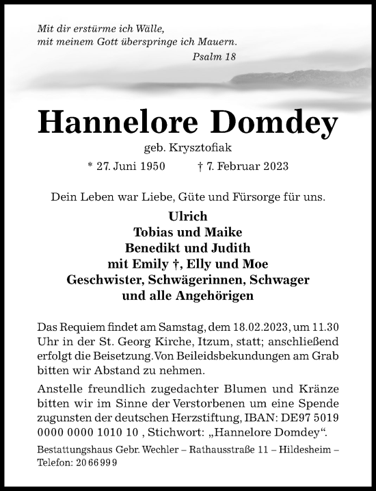 Traueranzeige von Hannelore Domdey von Hildesheimer Allgemeine Zeitung