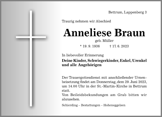 Traueranzeige von Anneliese Braun von Hildesheimer Allgemeine Zeitung