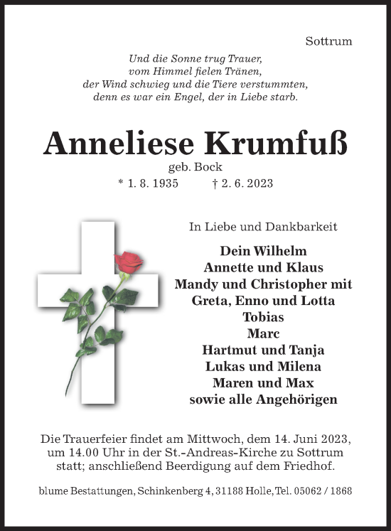 Traueranzeige von Anneliese Krumfuß von Hildesheimer Allgemeine Zeitung