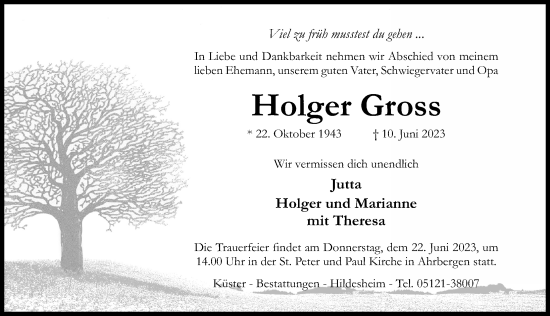 Traueranzeige von Holger Gross von Hildesheimer Allgemeine Zeitung