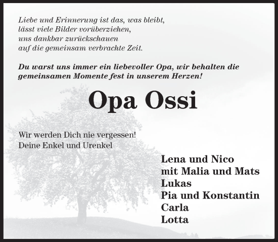 Traueranzeige von Ossi  von Hildesheimer Allgemeine Zeitung