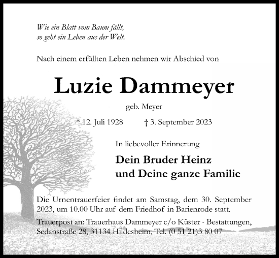 Traueranzeige von Luzie Dammeyer von Hildesheimer Allgemeine Zeitung