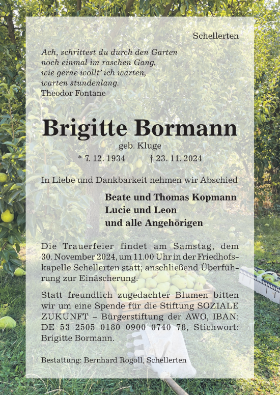 Traueranzeige von Brigitte Bormann von Hildesheimer Allgemeine Zeitung