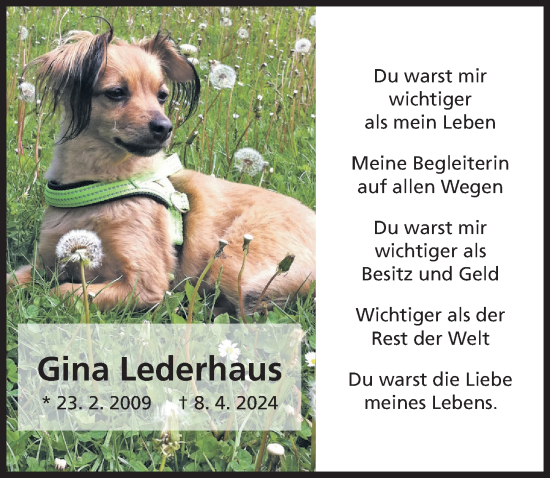 Traueranzeige von Gina Lederhaus von Hildesheimer Allgemeine Zeitung