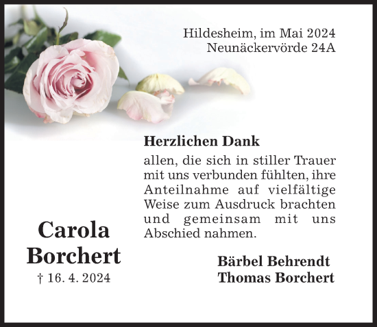 Traueranzeige von Carola Borchert von Hildesheimer Allgemeine Zeitung