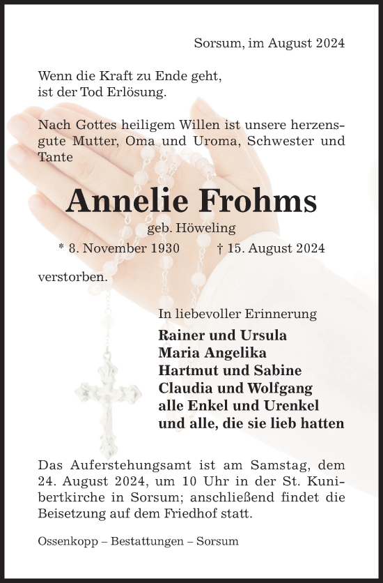 Traueranzeige von Annelie Frohms von Hildesheimer Allgemeine Zeitung