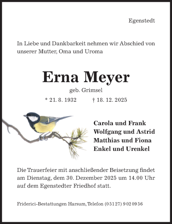 Traueranzeige von Erna Meyer von Hildesheimer Allgemeine Zeitung
