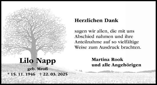 Traueranzeige von Lilo Napp von Hildesheimer Allgemeine Zeitung