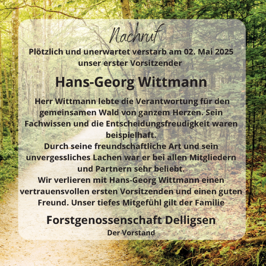 Traueranzeige von Hans-Georg Wittmann von Hildesheimer Allgemeine Zeitung