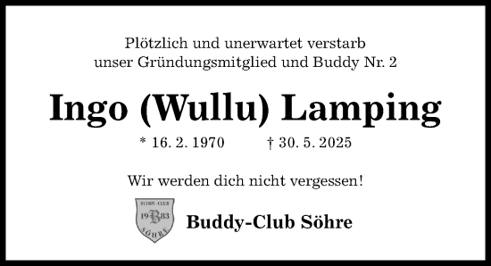 Traueranzeige von Ingo Lamping von Hildesheimer Allgemeine Zeitung