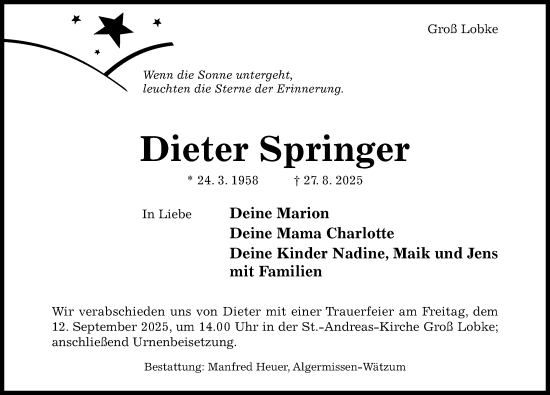 Traueranzeige von Dieter Springer von Hildesheimer Allgemeine Zeitung